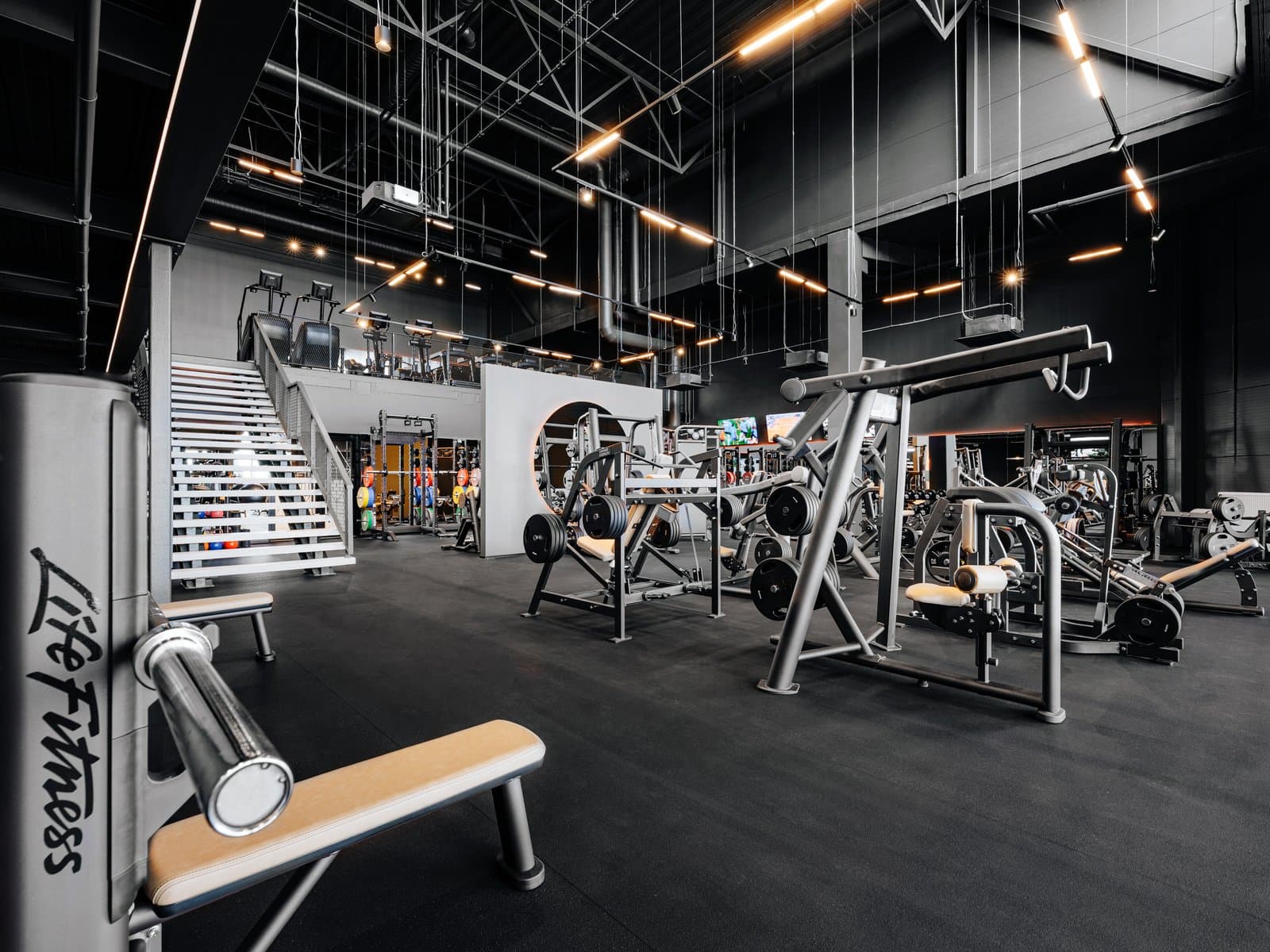 Gym Workouts 1
